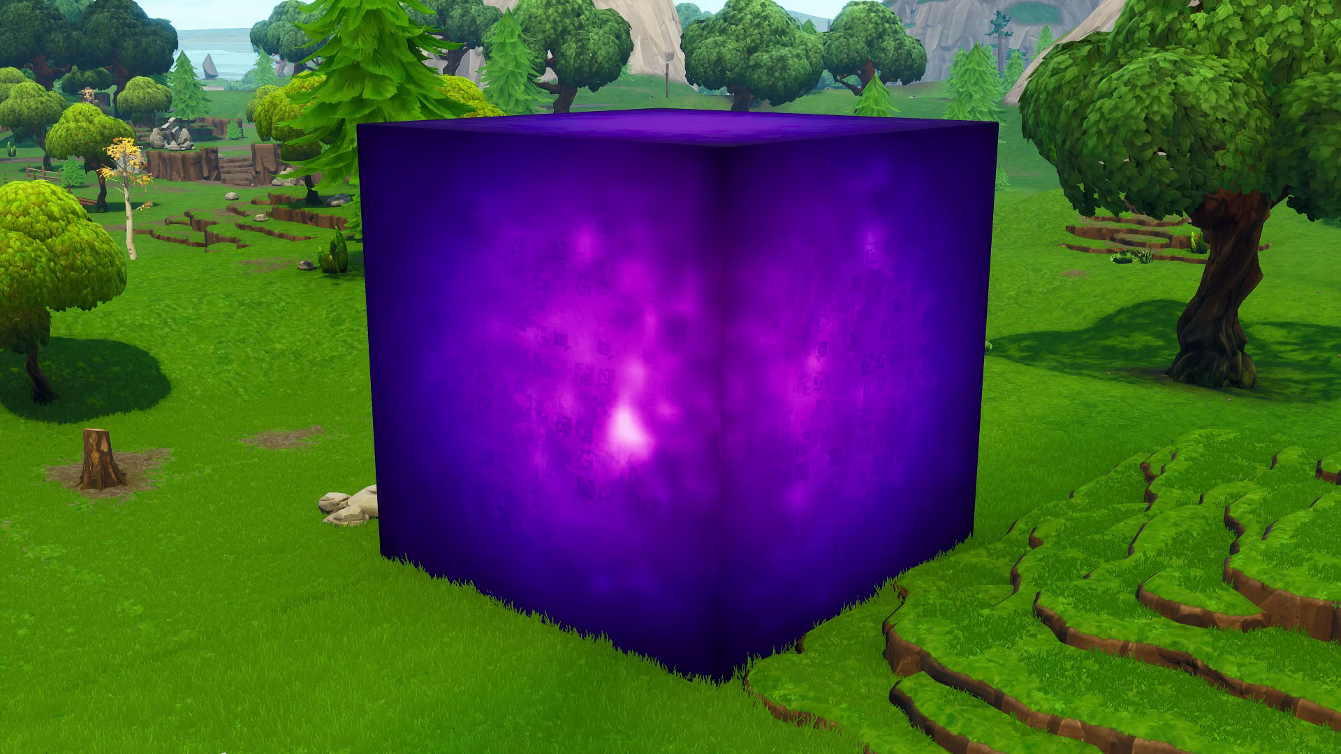 the Cube
