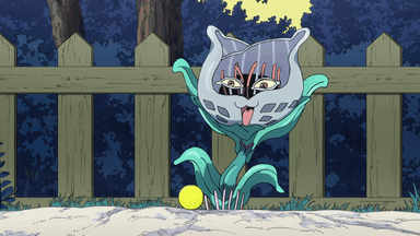Stray Cat