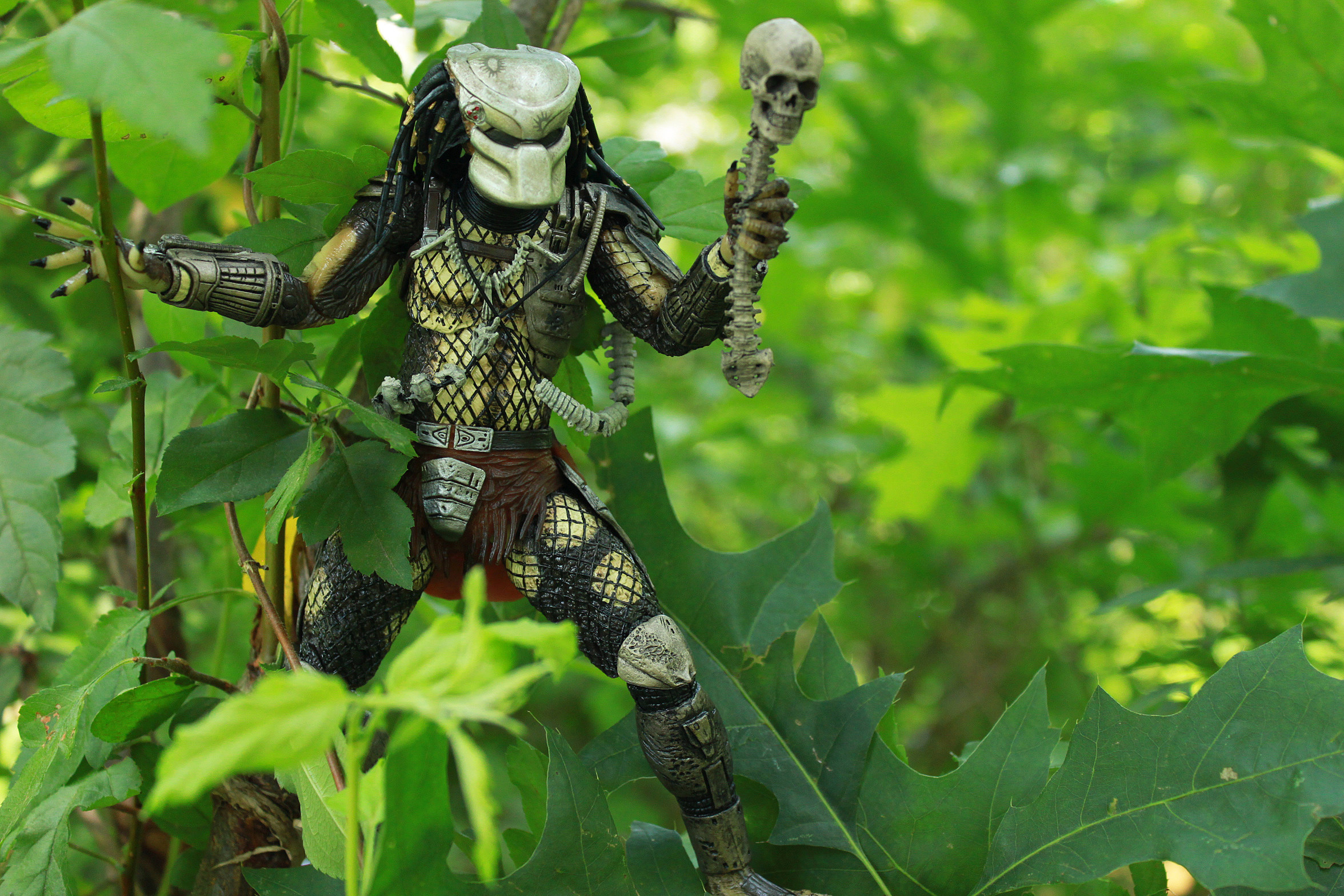 The Jungle Hunter