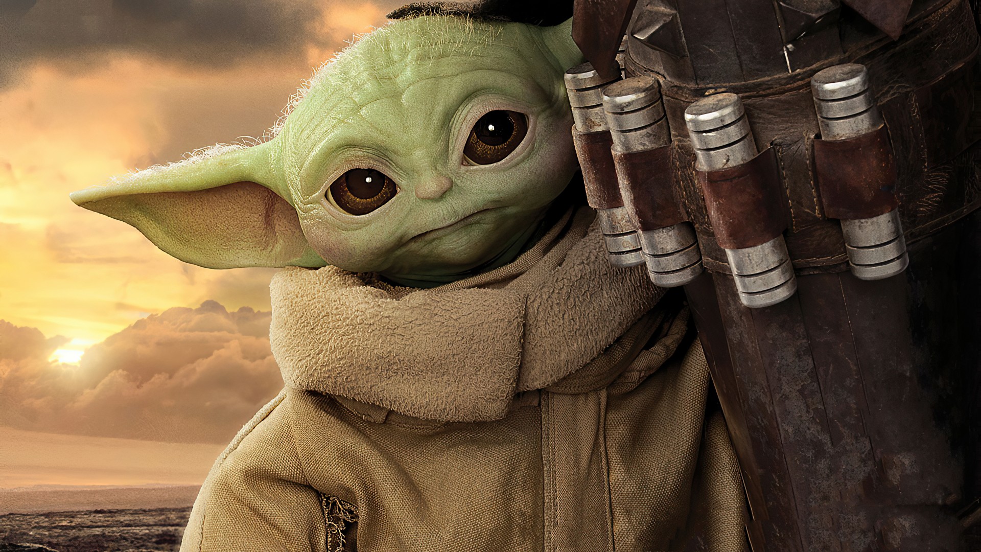 the Child - AKA Baby Yoda