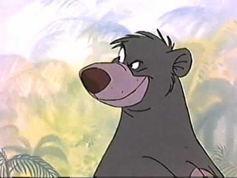 Baloo