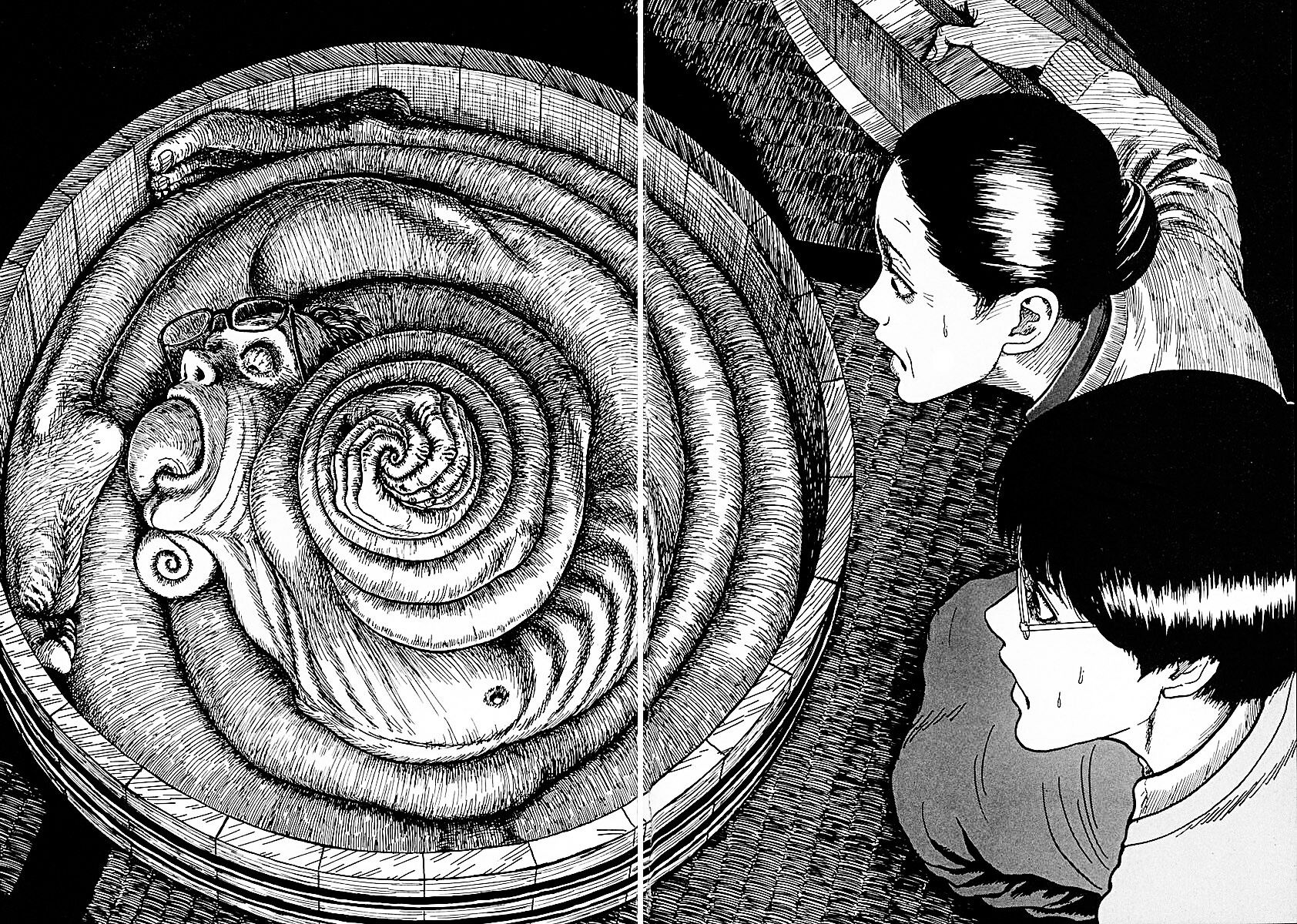 The Spiral Curse